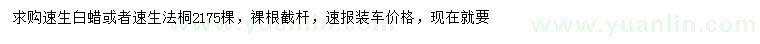 求購速生白蠟、速生法桐