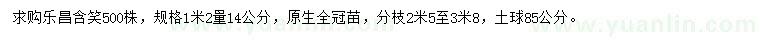 求購1.2米量14公分樂昌含笑