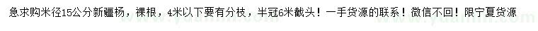 求購米徑15公分新疆楊