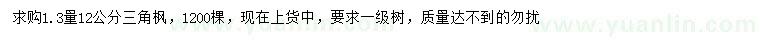求購1.3量12公分三角楓