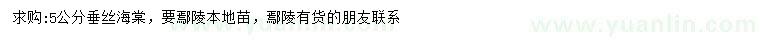 求購5公分垂絲海棠