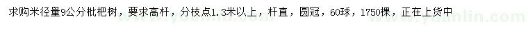 求購(gòu)米徑量9公分枇杷樹(shù)