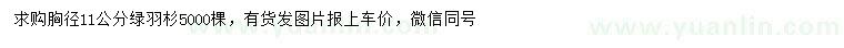 求購胸徑11公分綠羽杉
