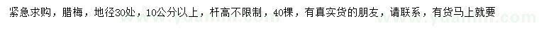 求購地徑30處量10公分以上臘梅