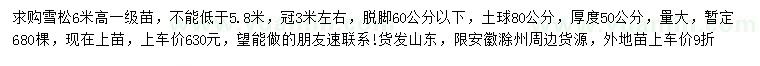 求購高6米雪松