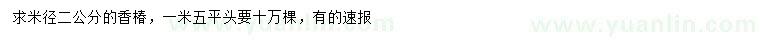 求購(gòu)米徑2公分香椿