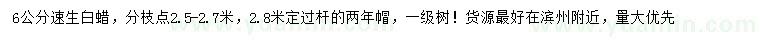 求購6公分速生白蠟
