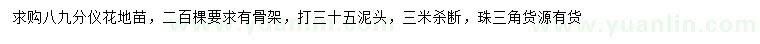 求購(gòu)8、9公分儀花地苗