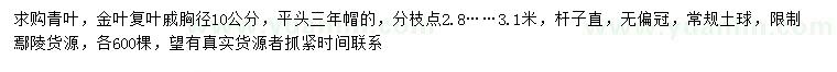 求購胸徑10公分青葉復(fù)葉槭、金葉復(fù)葉槭