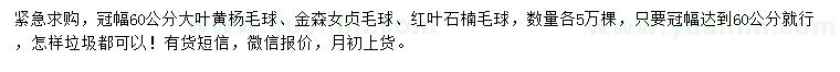 求購大葉黃楊球，金森女貞球、紅葉石楠球