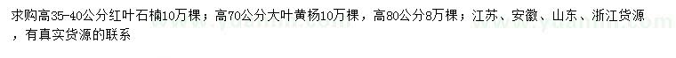 求購(gòu)高35-40公分紅葉石楠、高70、80公分大葉黃楊