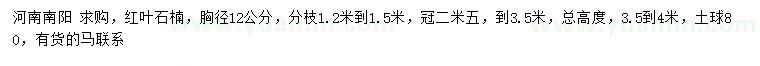 求購(gòu)胸徑12公分紅葉石楠