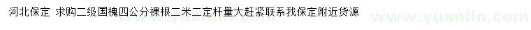 求購4公分國槐
