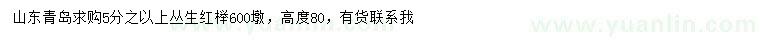 求購5公分之以上叢生紅櫸