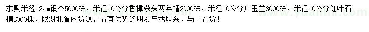 求購銀杏、香樟、廣玉蘭等