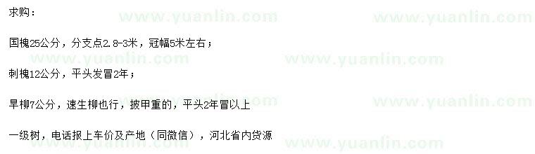 求購(gòu)國(guó)槐、刺槐、旱柳等