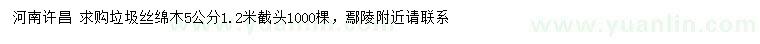 求購(gòu)5公分垃圾絲綿木