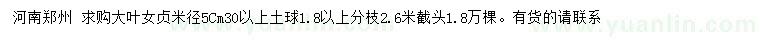 求購米徑5公分大葉女貞