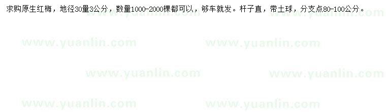 求購地徑30量3公分紅梅