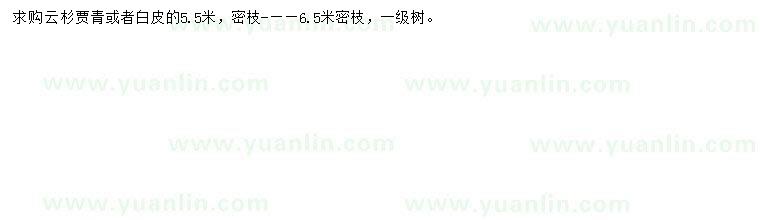 求購(gòu)5.5米云杉