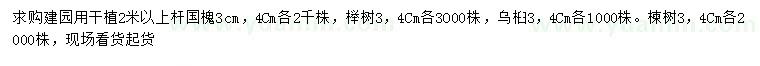求購國槐、櫸村、烏桕等
