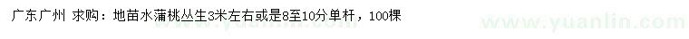 求購叢生水蒲桃