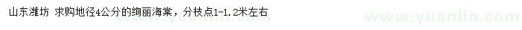 求購地徑4公分絢麗海棠