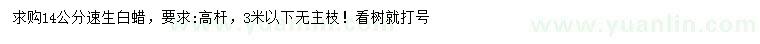 求購(gòu)14公分速生白蠟