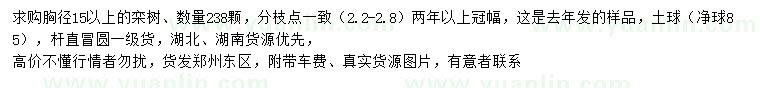 求購胸徑15公分以上欒樹