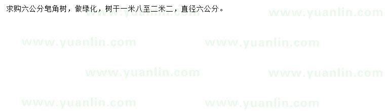 求購6公分皂角樹