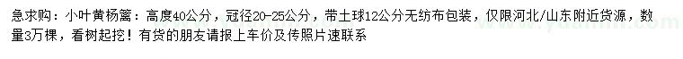 求購(gòu)冠幅20-25公分小葉黃楊籬