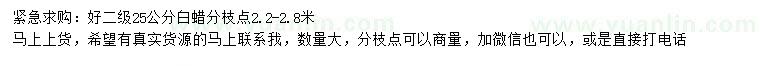 求購25公分白蠟
