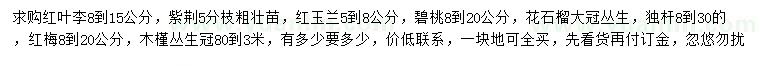 求購紅葉李、紫荊、紅玉蘭