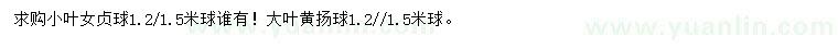 求購1.2、1.5小葉女貞球、大葉黃楊球