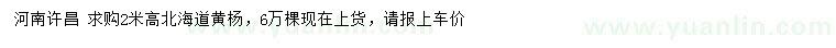 求購(gòu)高2米北海道黃楊