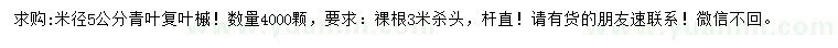 求購米徑5公分青葉復(fù)葉槭