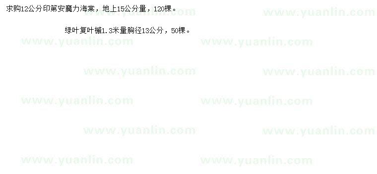 求購15公分量12公分印第安魔力海棠、1.3米量胸徑13公分綠葉復(fù)葉槭