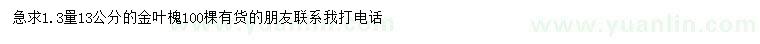 求購1.3量13公分金葉槐