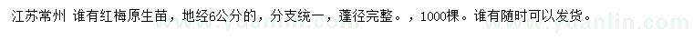 求購(gòu)地徑6公分紅梅