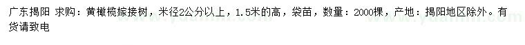 求購米徑2公分以上黃橄欖
