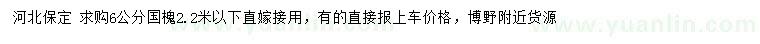 求購(gòu)6公分國(guó)槐