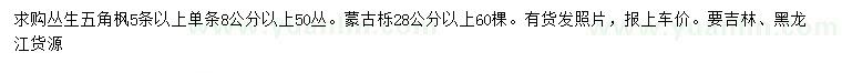 求購5枝以上叢生五角楓、28公分以上蒙古櫟