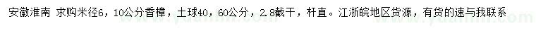 求購米徑6、10公分香樟