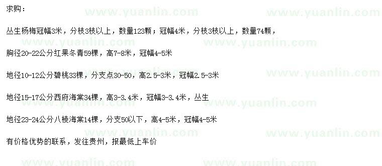 求購(gòu)叢生楊梅、紅果冬青、碧桃等