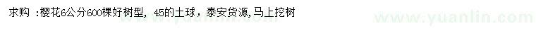 求購(gòu)6公分櫻花