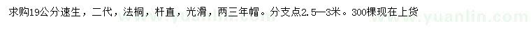 求購19公分速生法桐