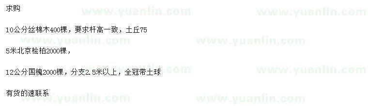 求購絲棉木、北京檜柏、國槐