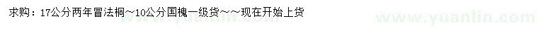 求購17公分法桐