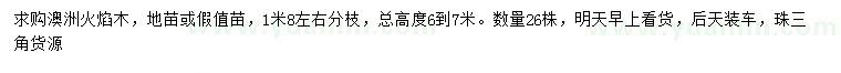 求購(gòu)總高6-7米澳洲火焰木