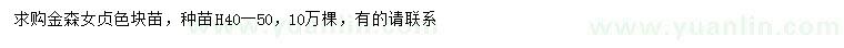 求購(gòu)高40-50公分金森女貞色塊苗